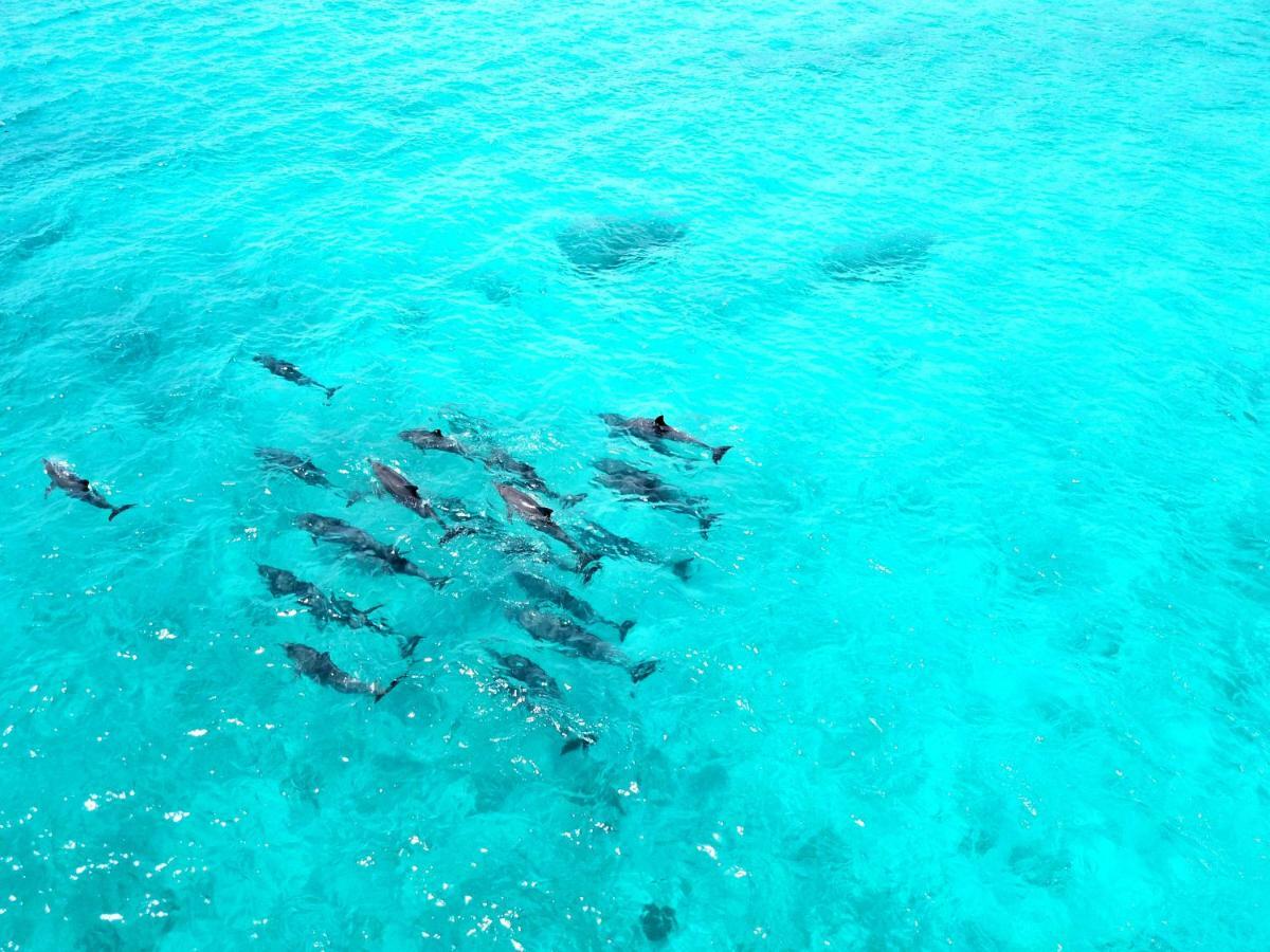 Athiri Maldives 3* Dhigurah (Alif Dhaal Atoll)