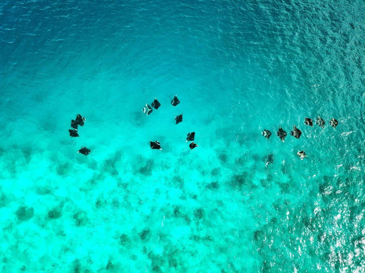 Casa de hóspedes Athiri Maldives 3*
